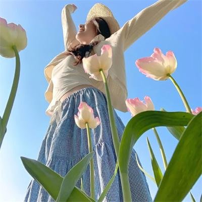 尼姆计划